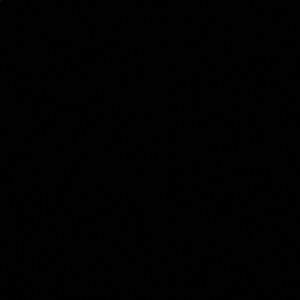 Meet your Posher, Chanel